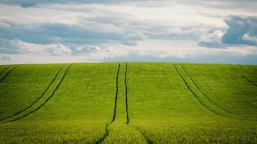 Prvi ugovor za ječam rod 2021.